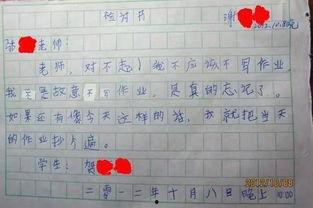 娱乐吃瓜酱检讨书,反思与成长之路